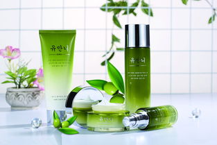 進口化妝品 配方合規、專業物流與清關流程全解析